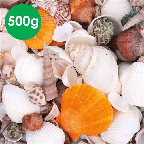 Sea Shells - Assorted - 500g Pack