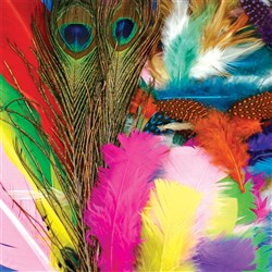 Rainbow Colours Craft Feathers (Pack of 175) Craft Supplies