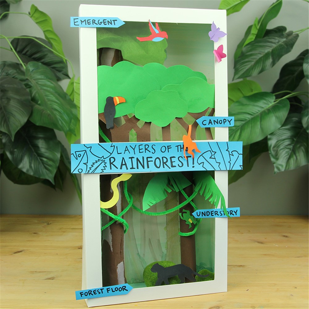Layers of the Rainforest Diorama - CleverPatch | CleverPatch - Art & Craft  Supplies