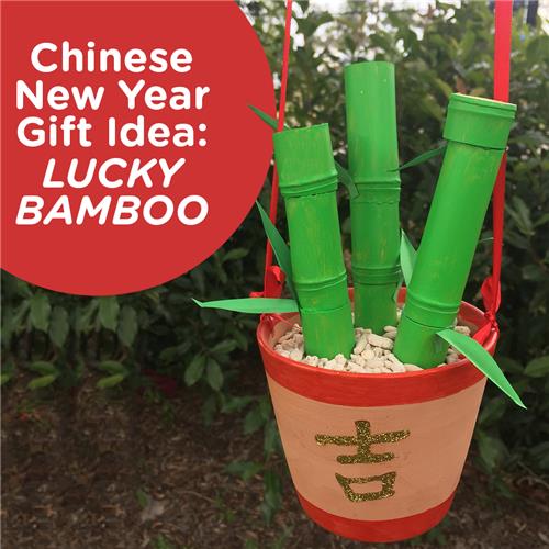 Chinese New Year Gift - Lucky Bamboo | Chinese New Year | CleverPatch