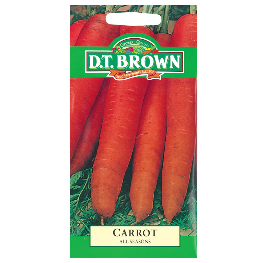 Carrot Seeds Pack of 2,000 Gardening CleverPatch Art & Craft