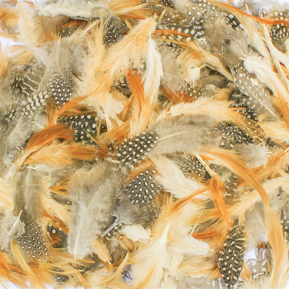 Feathers - Natural - 25g Pack | Feathers | CleverPatch - Art & Craft