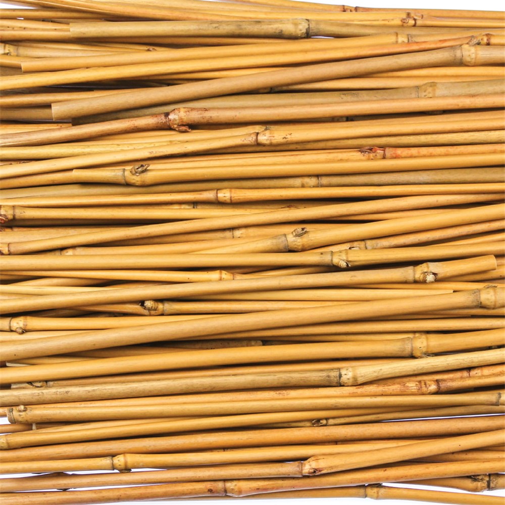 Bamboo Sticks Long 500g Pack Botanicals CleverPatch Art