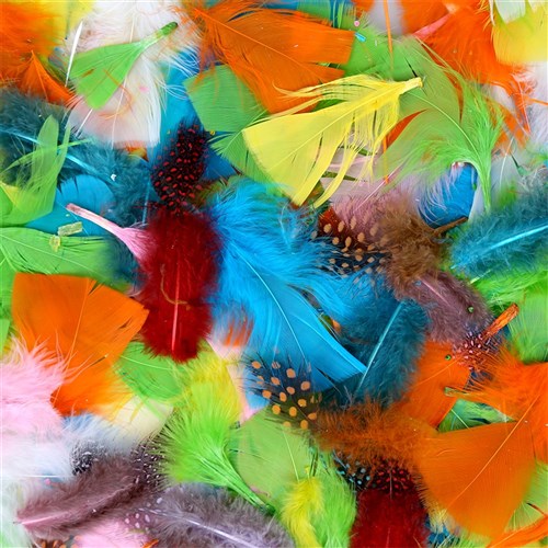 Feathers - Exotic - 25g Pack