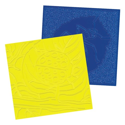 Bug Rubbing Plates - Pack of 6
