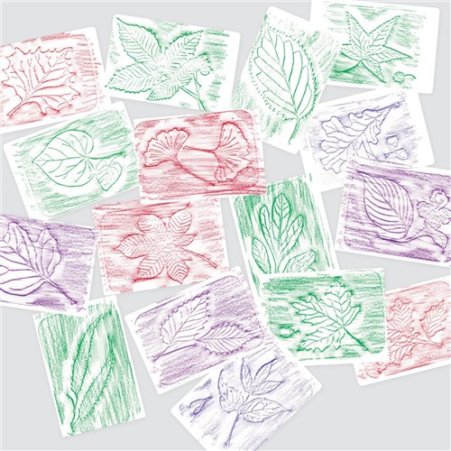 Leaf Rubbing Plates - Pack of 16
