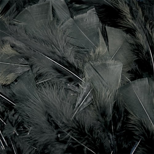 Turkey Feathers - Black - Pack of 150