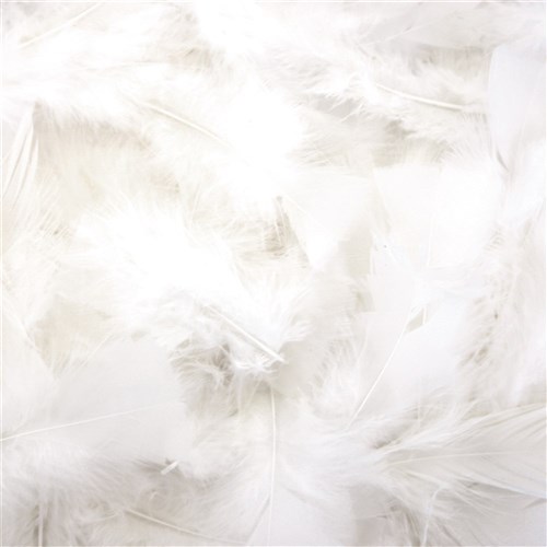 Turkey Feathers - White - Pack of 150