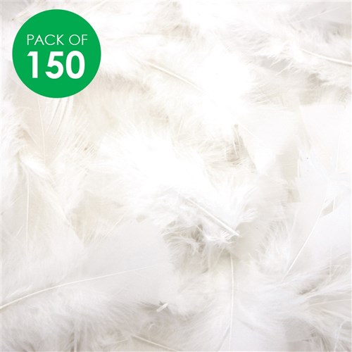 Turkey Feathers - White - Pack of 150