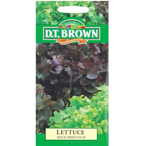 Lettuce Seeds - Pack of 1,250
