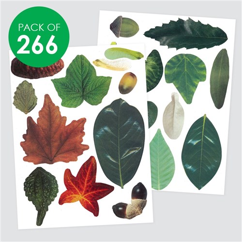 Crafty Leaves - Pack of 266