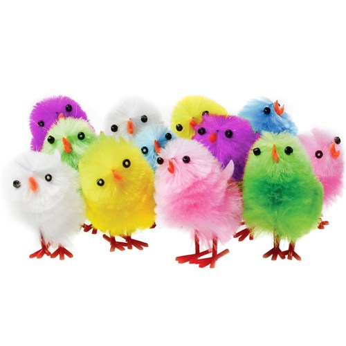 Chicks - Pack of 12