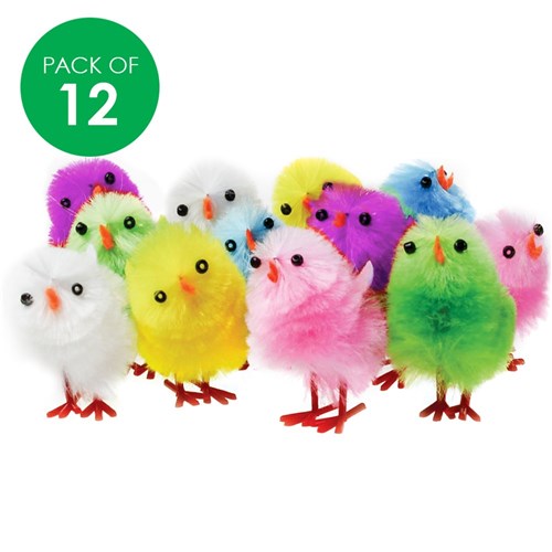 Chicks - Pack of 12