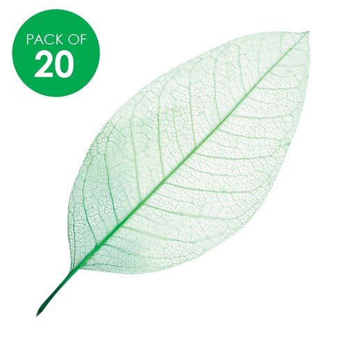 Skeleton Leaves - Green - Pack of 20