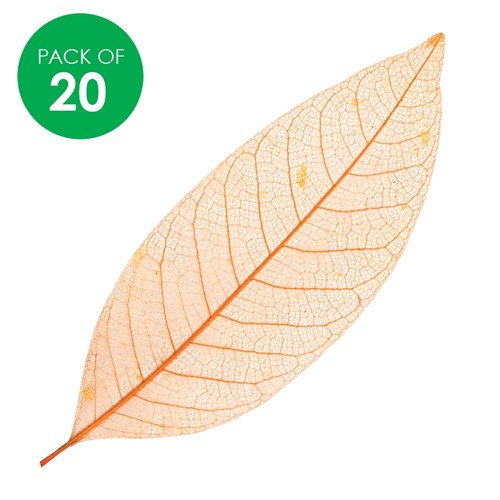 Skeleton Leaves - Orange - Pack of 20