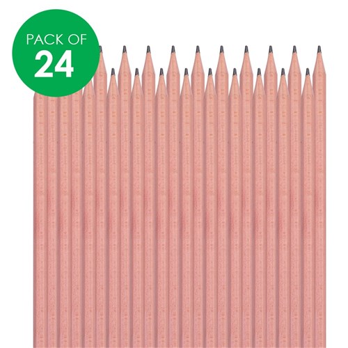 2B Pencils - Pack of 24