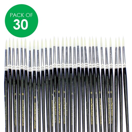 Fine Point Artist Brushes - Pack of 30