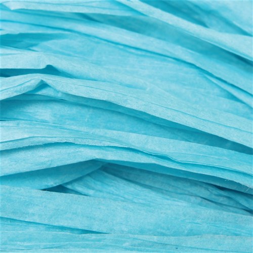 Paper Raffia - Blue - 50 Metres