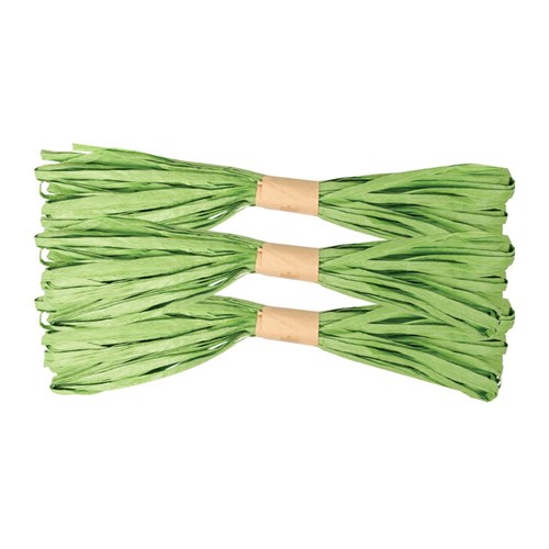 Paper Raffia - Green - 50 Metres