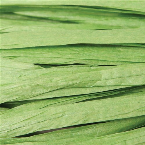 Paper Raffia - Green - 50 Metres