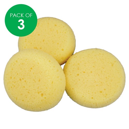 Artist Sponges - Pack of 3