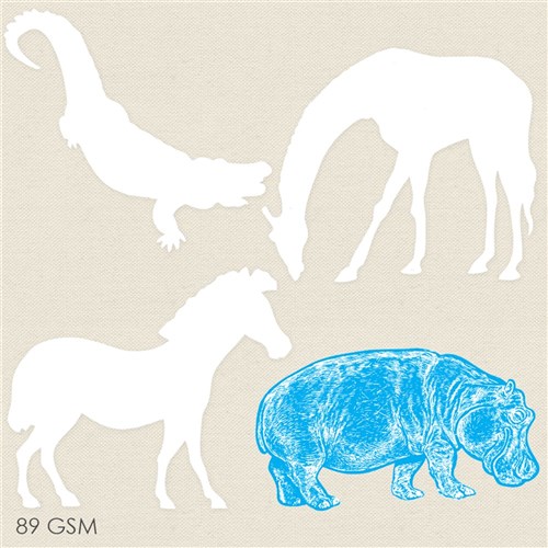 Colour Reveal -African Animals - Pack of 36