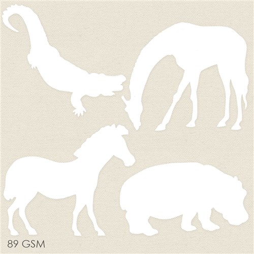 Colour Reveal -African Animals - Pack of 36
