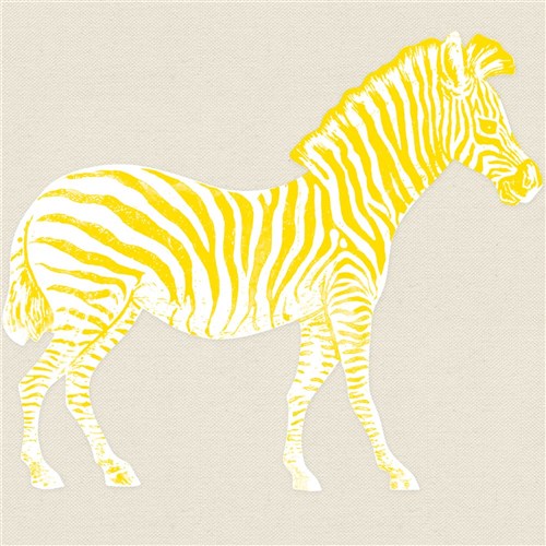 Colour Reveal -African Animals - Pack of 36