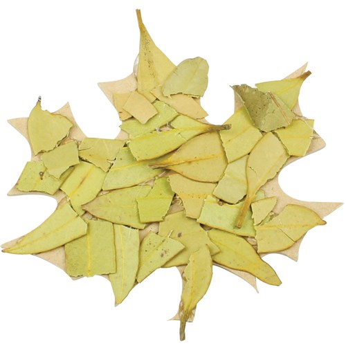Wooden Leaf Shapes - Pack of 20