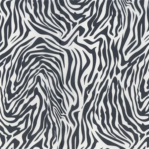 Tissue Paper - Zebra - Pack of 10
