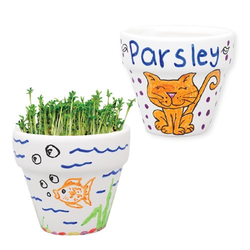 Porcelain Flowerpot - Each