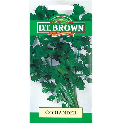 Coriander Seeds - Pack of 100