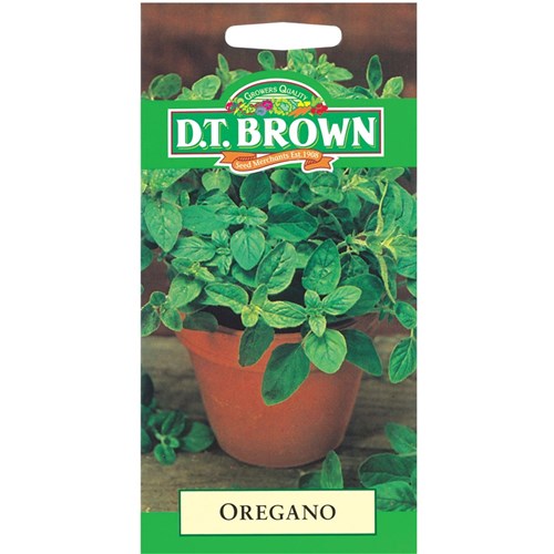 Oregano Seeds - Pack of 1,500