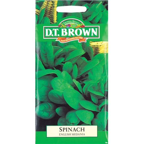 English Spinach Seeds - Pack of 500