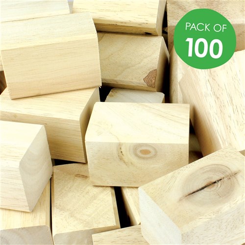 Wooden Blocks - Pack of 100