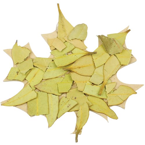 Natural Dried Leaves - 250g Pack