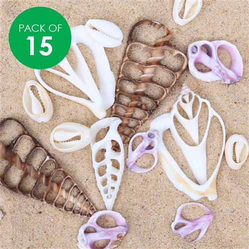 Shell Slices - Assorted - Pack of 15