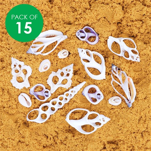 Shell Slices - Assorted - Pack of 15