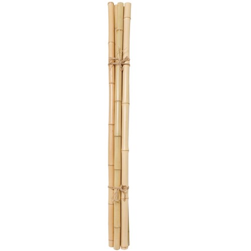 Bamboo Poles - Natural - Pack of 5