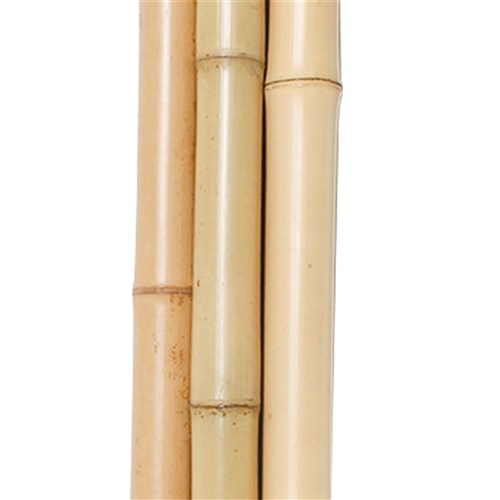 Bamboo Poles - Natural - Pack of 5