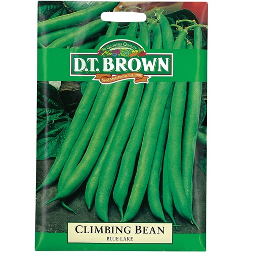 Climbing Bean Seeds - Pack of 100