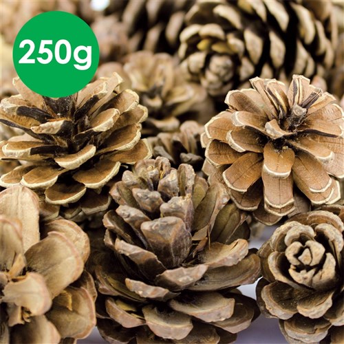 Mini Pine Cones - 250g Pack