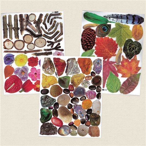 Nature Craft Paper Pieces - Pack of 854