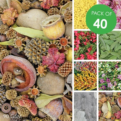 Australian Plant Craft Paper - Pack of 40