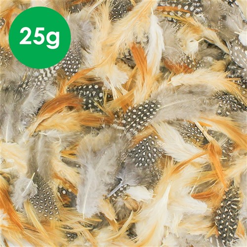 Feathers - Natural - 25g Pack