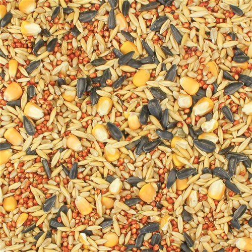 Wild Bird Seed Mix - 1kg Pack