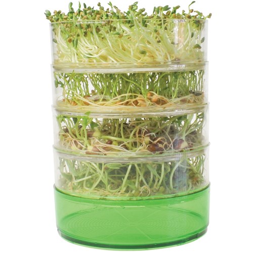 Sprouts Alive! Kitchen Seed Sprouter
