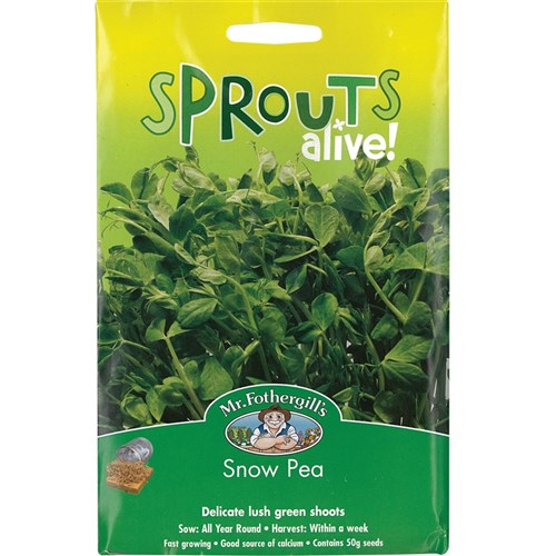 Sprouts Alive! Snow Pea Seeds - 50g Pack