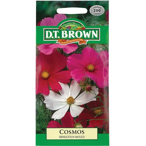 Cosmos Seeds - Pack of 200
