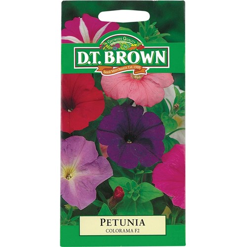 Petunia Seeds - Pack of 400